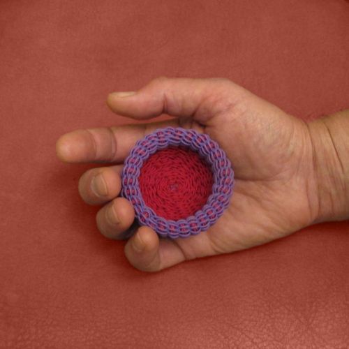 Les Michkateries - Nid de bague © - 5