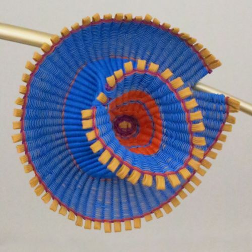 Collections - Fleur bleue © - 1