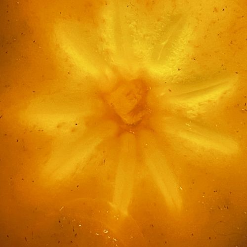 Collections - Persimmon's Heart © 1