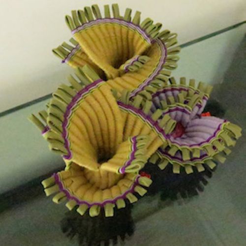 Collections - Papyrus & Nenufar Trio © - 2