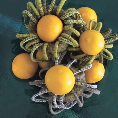 Collections - Série Foisonnement avec citrons doux en centre de table © - 6