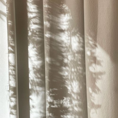 Collections - Dragontina en reflet © 6