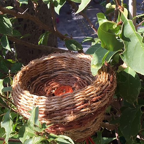 Collections - Tournis orange III © - 3